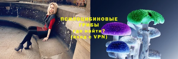 ECSTASY Дмитровск