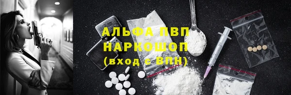 мет Дмитров