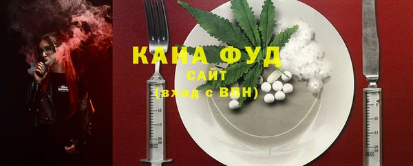 винт Дмитриев