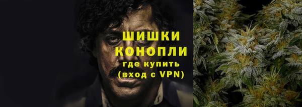 мет Дмитров