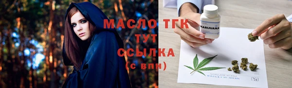 винт Дмитриев