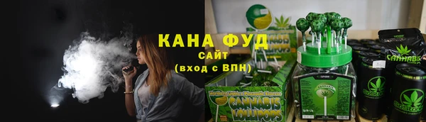 мет Дмитров