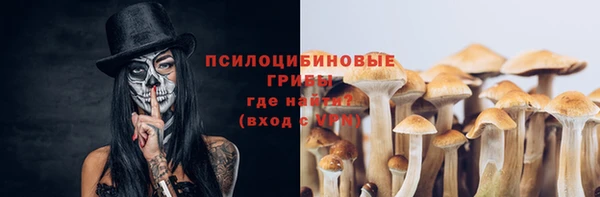 винт Дмитриев