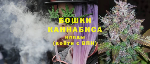 ECSTASY Дмитровск