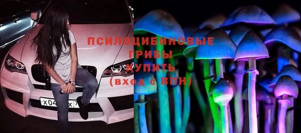 мет Дмитров